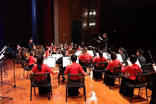 文化金湾丨2017全力推进文化强区建设 组织文化艺术交流活动