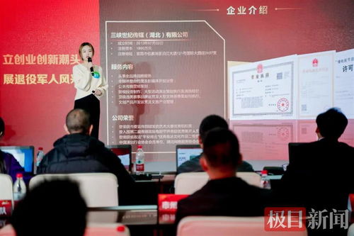 宜昌军创企业闪耀“军创杯”，跻身全省三强并赋能文化艺术交流