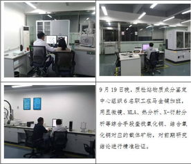 质检站物质成分鉴定中心 以工艺矿物学技术攻关驱动秘鲁铜矿项目高效推进